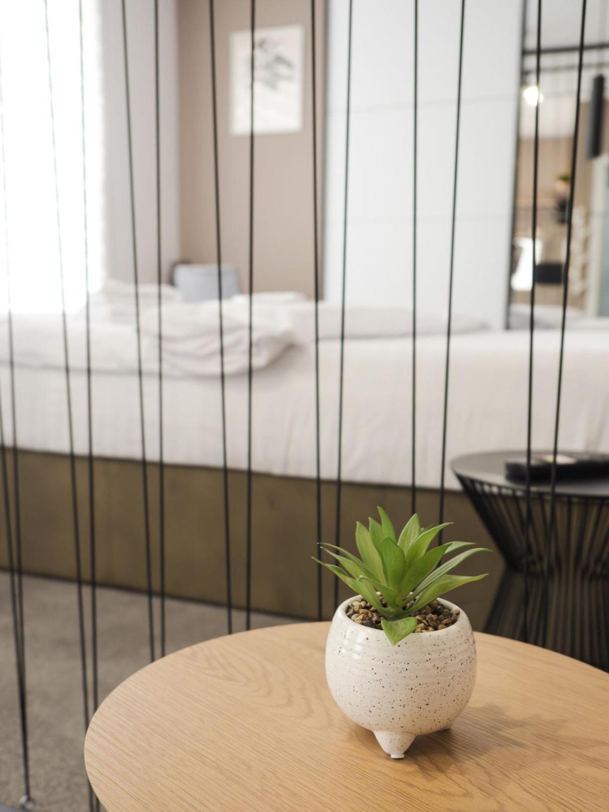 Gavas Cozy Studios Central David Prodan Cluj-Napoca Eksteriør billede
